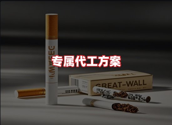 专业团队